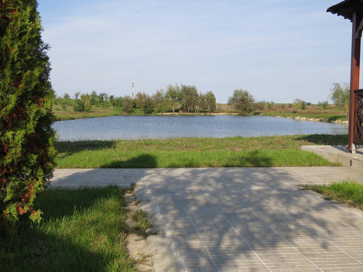Sagu Conacul De Pe Lac المظهر الخارجي الصورة